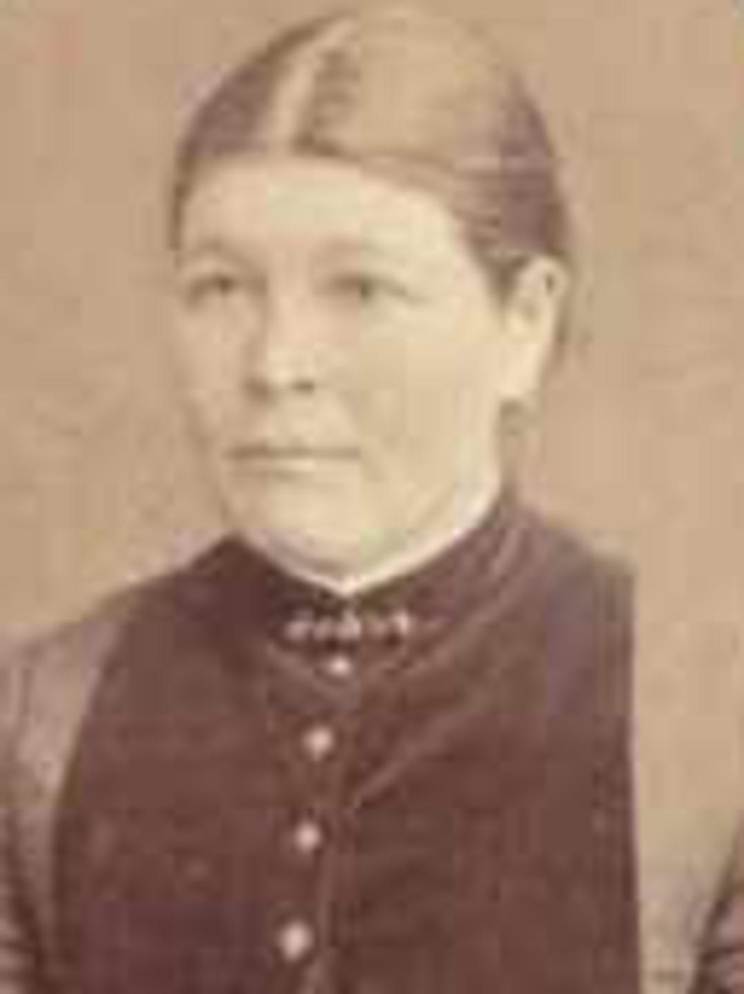 Julia Houston Pratt (1847 - 1903) Profile